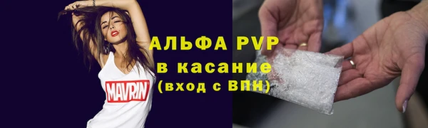 ГАЛЛЮЦИНОГЕННЫЕ ГРИБЫ Баксан